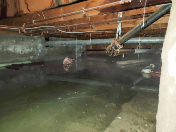 Sewage cleanup and water damage restoration in Birdsboro, PA