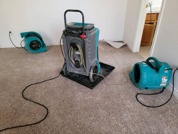 Best Professional water damage repair  in Birdsboro, PA