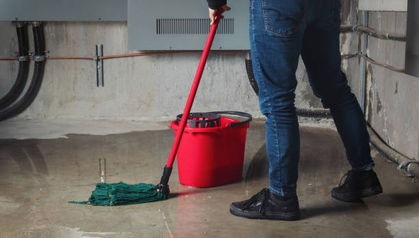 Best Sewage cleanup and water damage restoration  in Birdsboro, PA