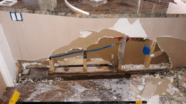 Best Ceiling water damage repair  in Birdsboro, PA