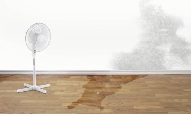 Best Water damage restoration services  in Birdsboro, PA