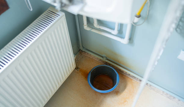 Best Water damage cleanup near me  in Birdsboro, PA