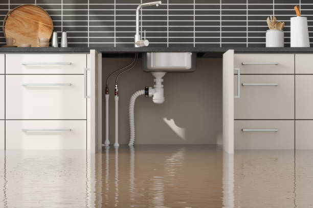 Best Water damage contractors near me  in Birdsboro, PA