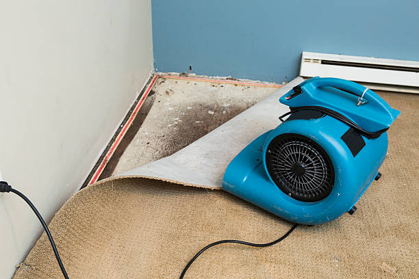 Best 24-hour water damage restoration  in Birdsboro, PA